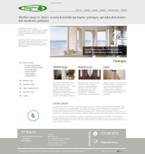 Interneto svetainių kūrimas Panevėžys